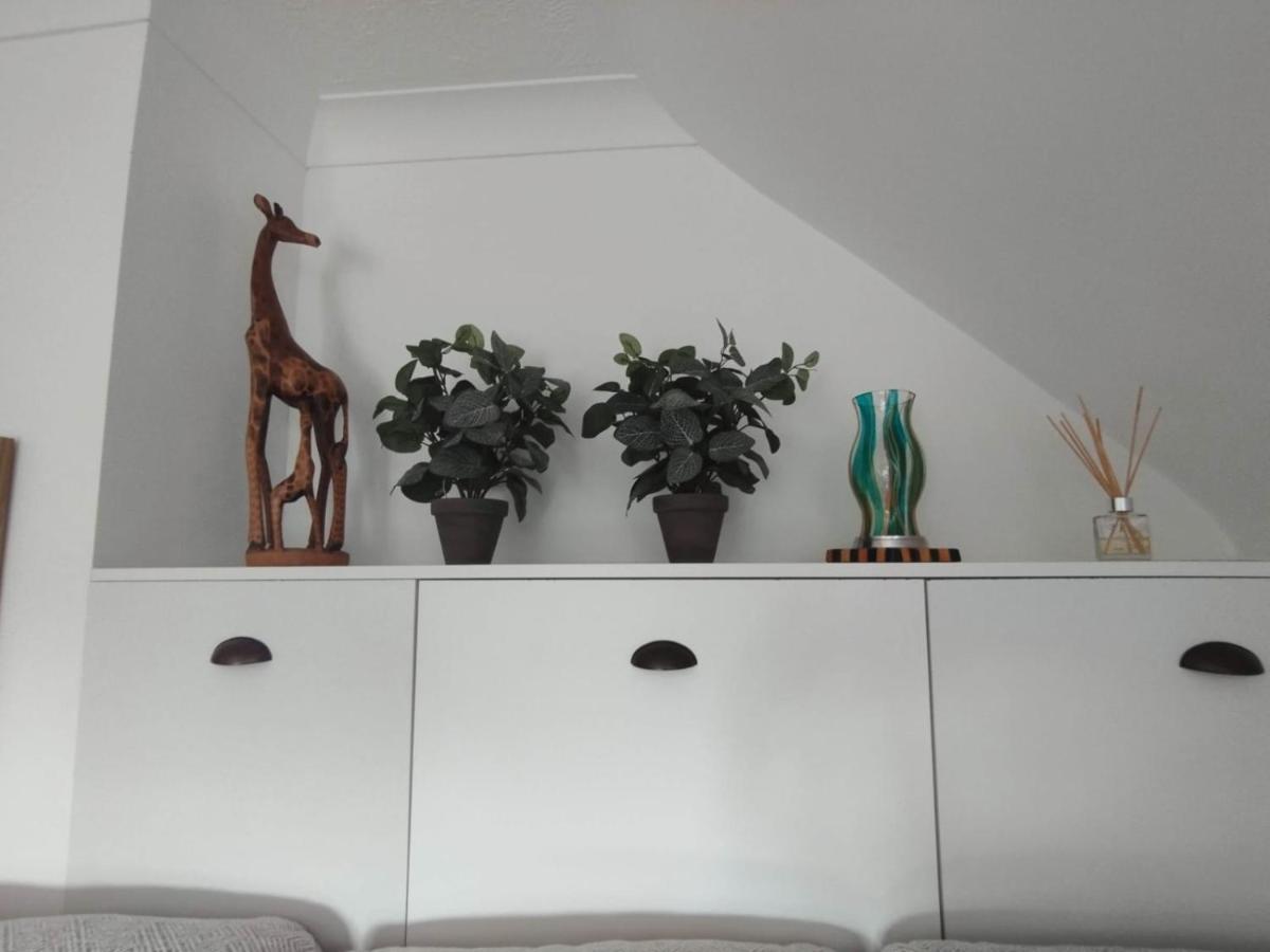 Top Of The House 博格诺里吉斯 外观 照片